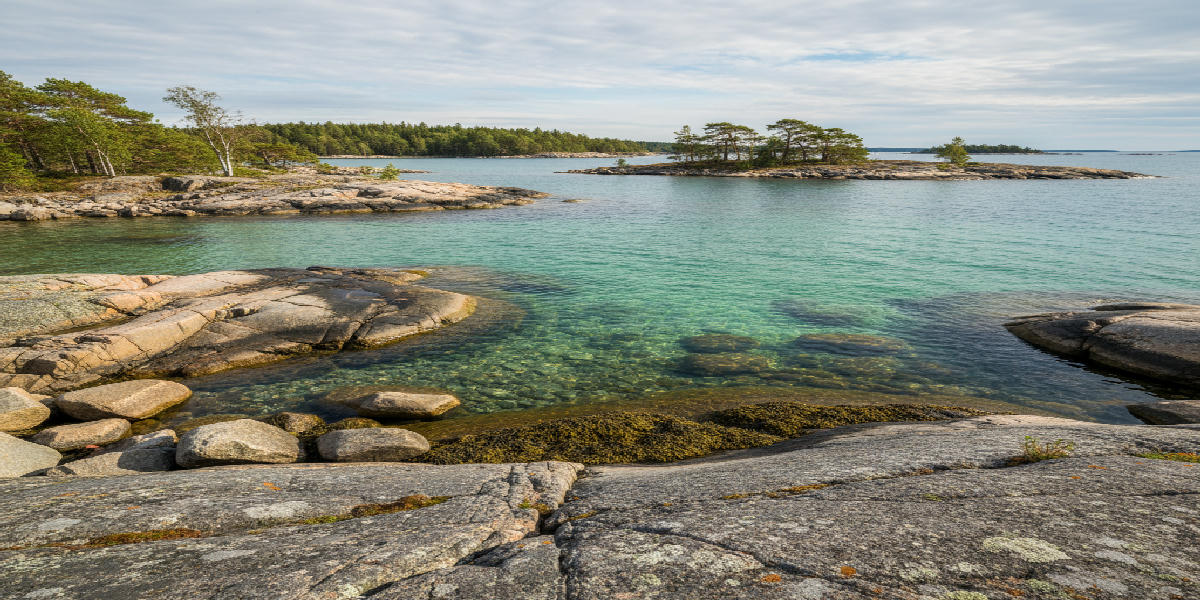 dinjagarexamen-faglar-skrakar